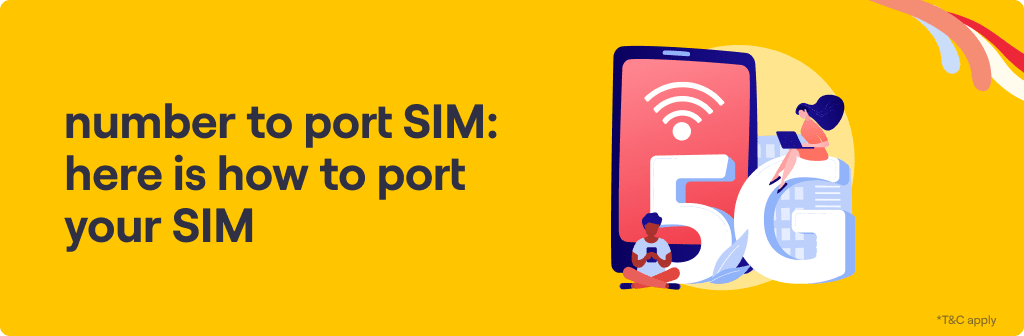 desktop-how-to-port-your-sim